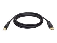 EATON TRIPPLITE USB 2.0 A/B Kabel M/M 10ft 3.05m
