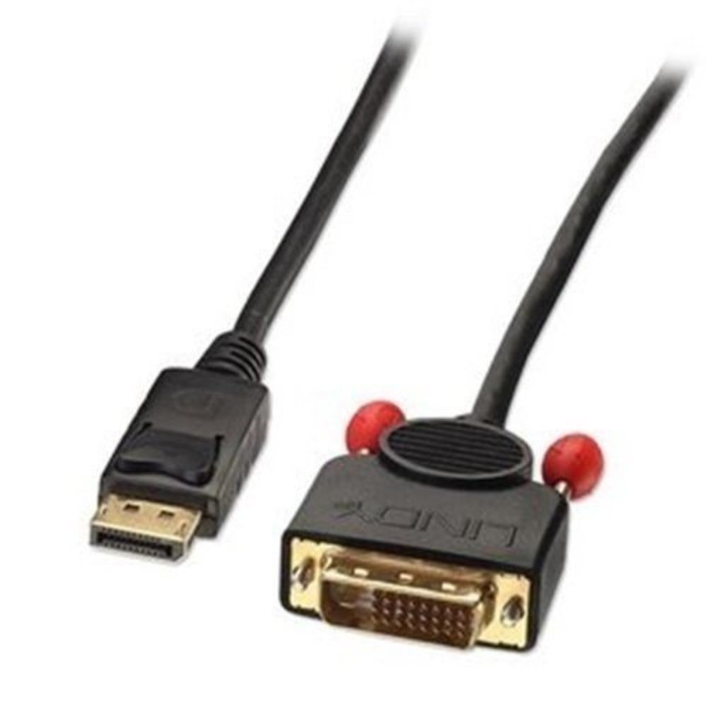 Lindy Kabel DisplayPort/DVI-D 2m DP Stecker an DVI-D Stecker - Hohe Qualität, zuverlässige Verbindung, 2 Meter Länge
