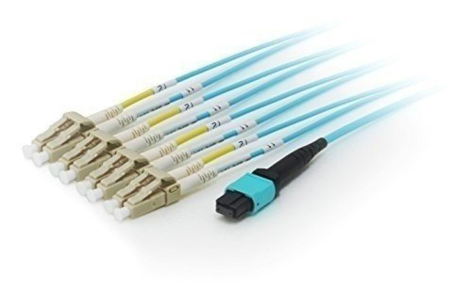 Equip MPO FanOut-Kabel OM4 8x LC mit MTP Stecker 20.0 USConne - Hochleistungsfähiges Multimode-OM4-Fanout-Kabel mit 8 LC-Steckern und MTP-Stecker für zuverlässige Vernetzung - 20.0-USConne