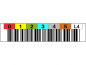 Astar Barcode-Etiketten LTO4700799 TRIOPTIC