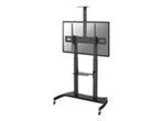 NEWSTAR PLASMA-M1950E Mobile Flat Screen Floor Stand height: 128-160cm 60-100 Zoll
